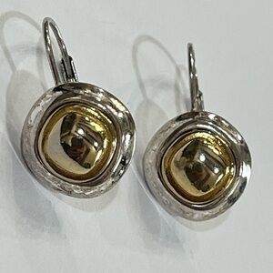 Elegant Silver and Gold Earrings